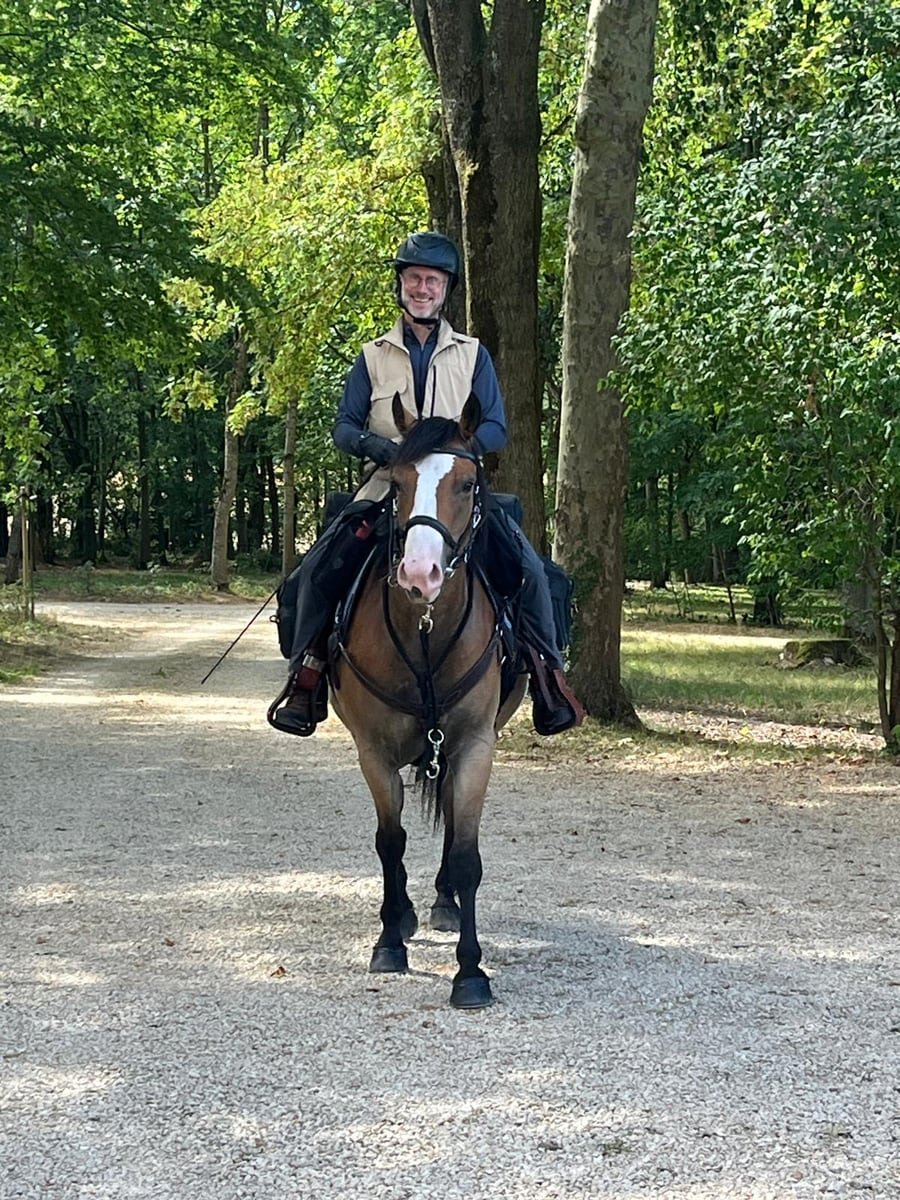 Gaëtan Desclée à cheval sur Champagne, sur un chemin forestier.